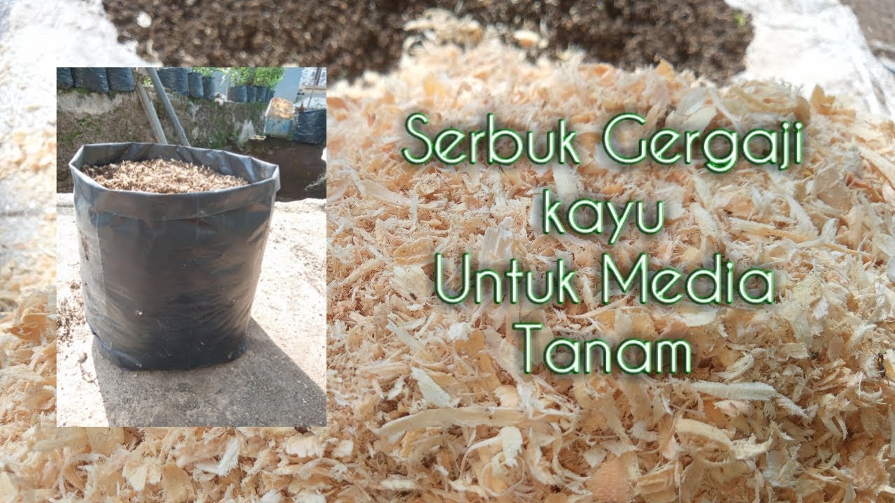 Detail Gambar Serbuk Gergaji Nomer 53