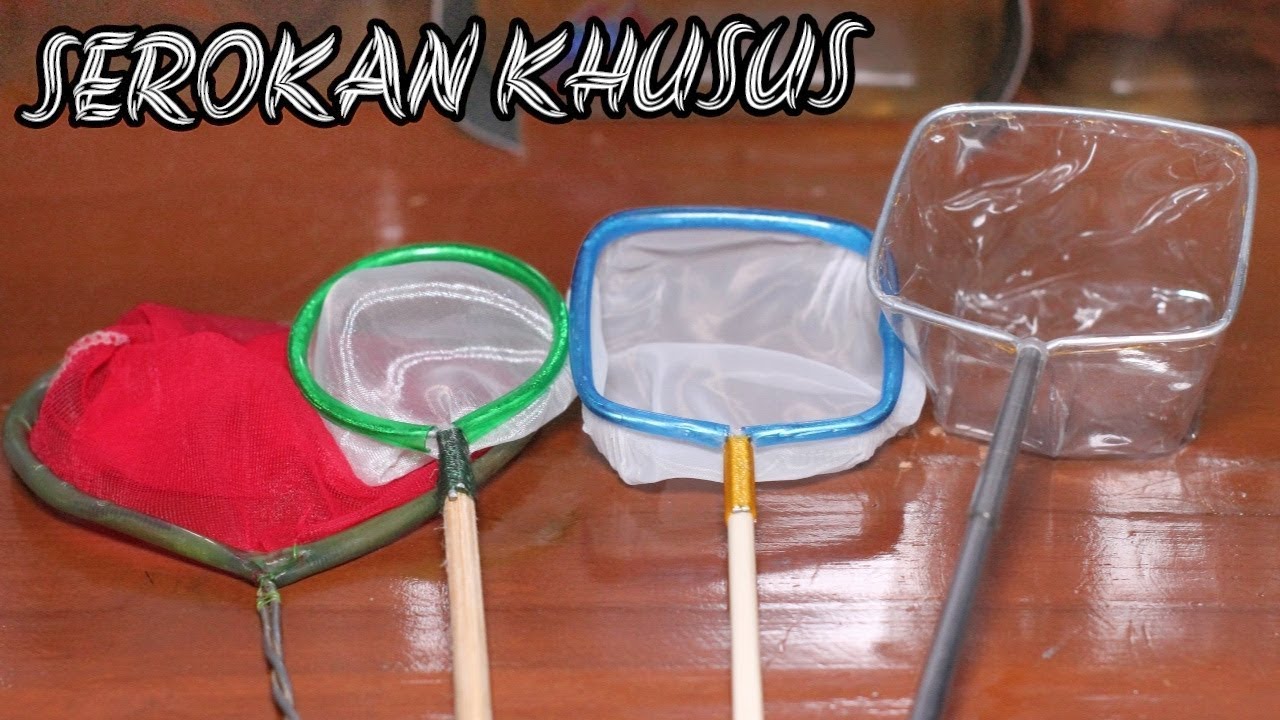 Detail Gambar Serokan Ikan Nomer 47