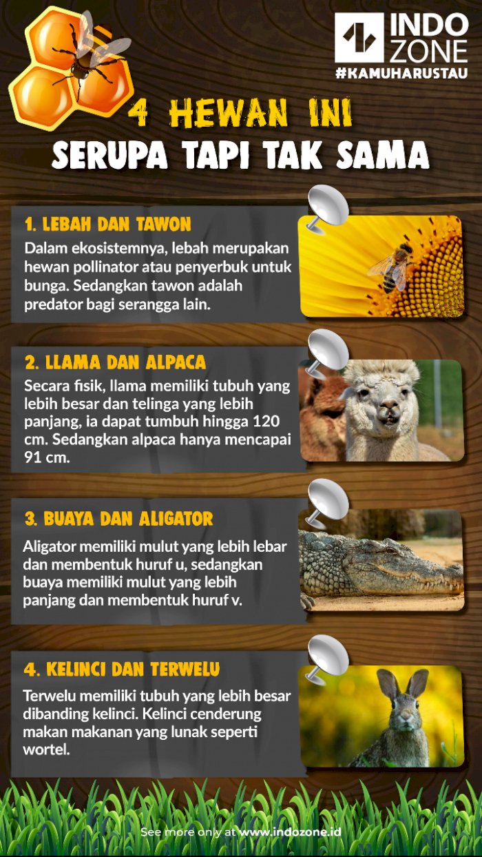 Detail Gambar Serupa Tapi Tak Sama Nomer 19