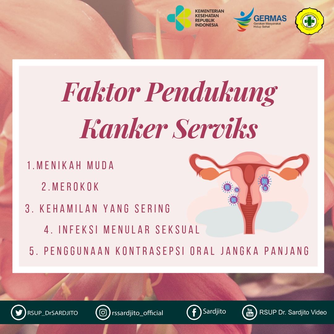 Detail Gambar Serviks Yg Sehat Nomer 31