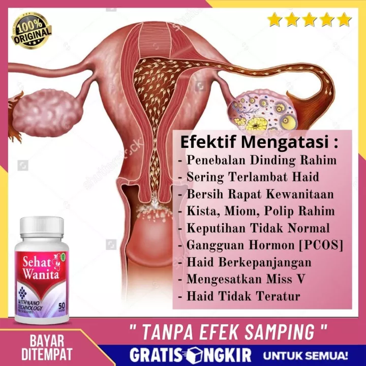 Detail Gambar Serviks Yg Sehat Nomer 37
