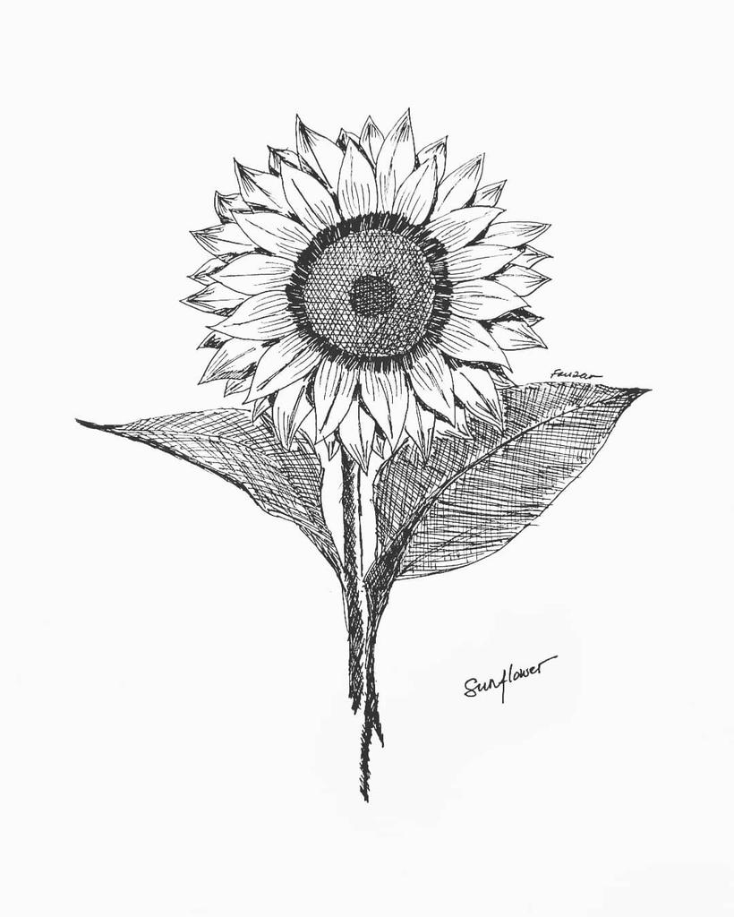 Detail Gambar Setangkai Bunga Matahari Nomer 4