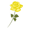 Detail Gambar Setangkai Bunga Mawar Kuning Nomer 19