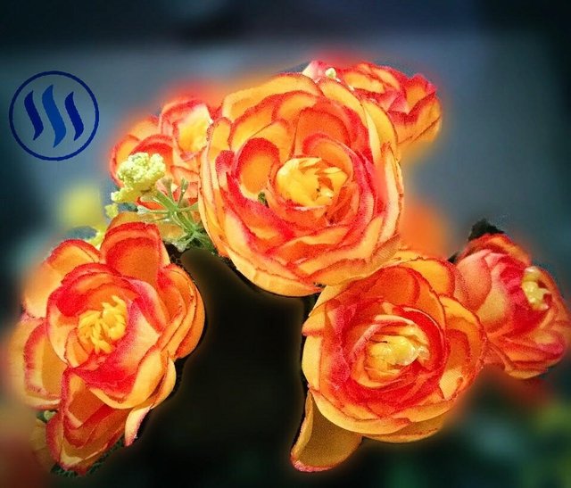 Detail Gambar Setangkai Bunga Mawar Kuning Nomer 31