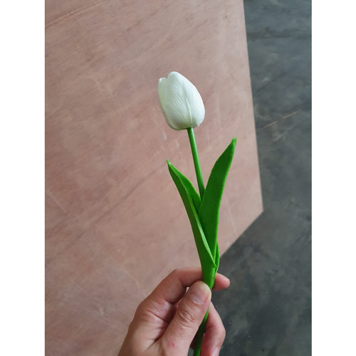Detail Gambar Setangkai Bunga Tulip Nomer 34
