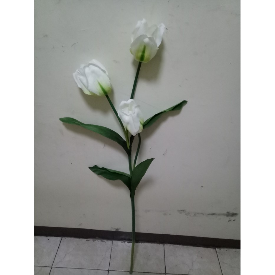 Detail Gambar Setangkai Bunga Tulip Nomer 8