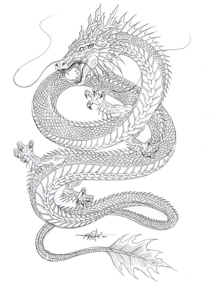 Detail Gambar Shapes Para Tatuajes De Dragones Nomer 12