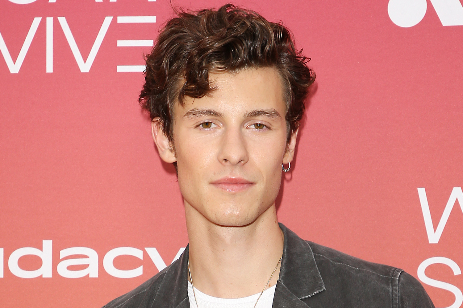 Detail Gambar Shawn Mendes Nomer 18