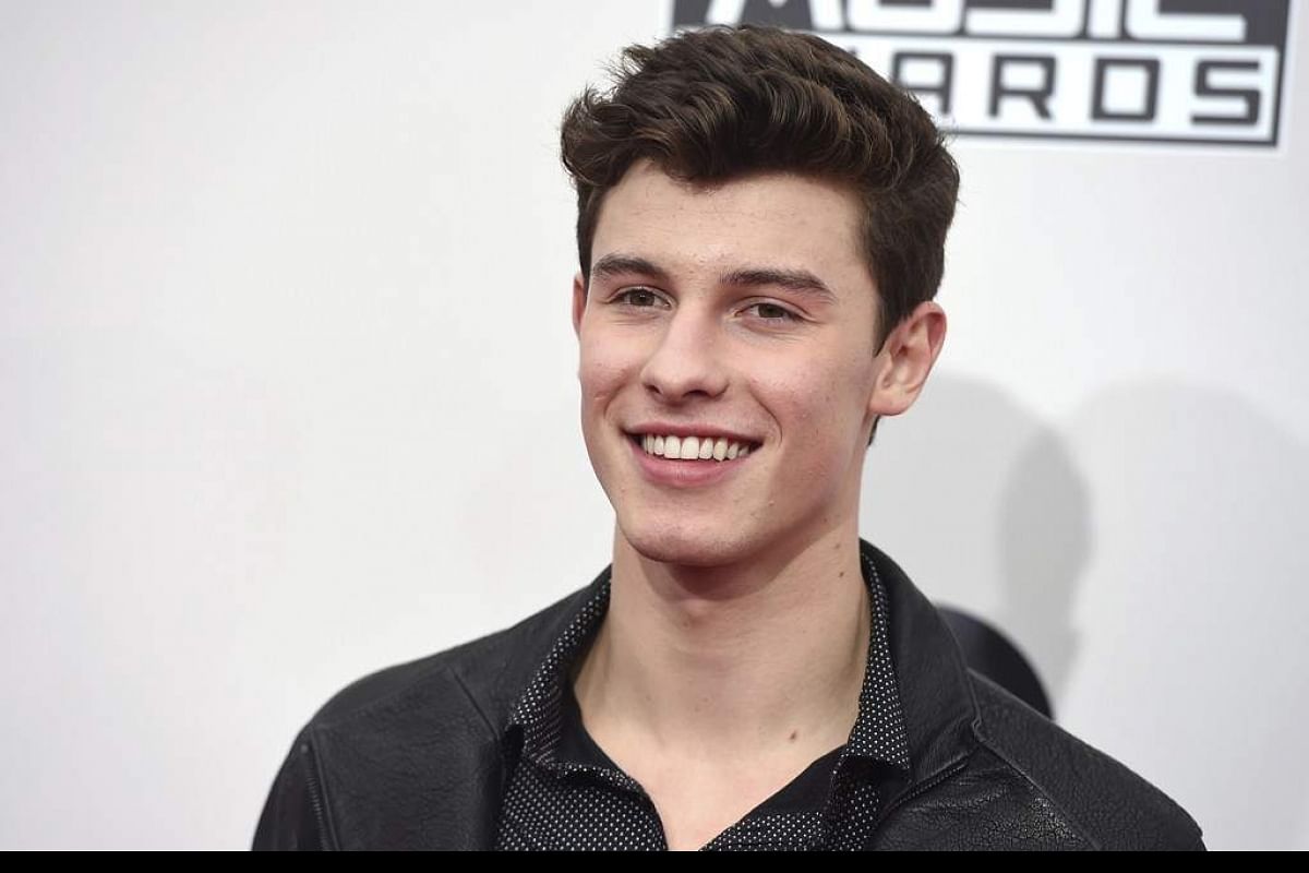 Detail Gambar Shawn Mendes Nomer 21