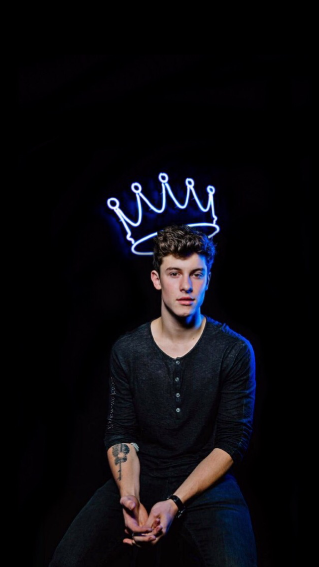 Detail Gambar Shawn Mendes Nomer 23