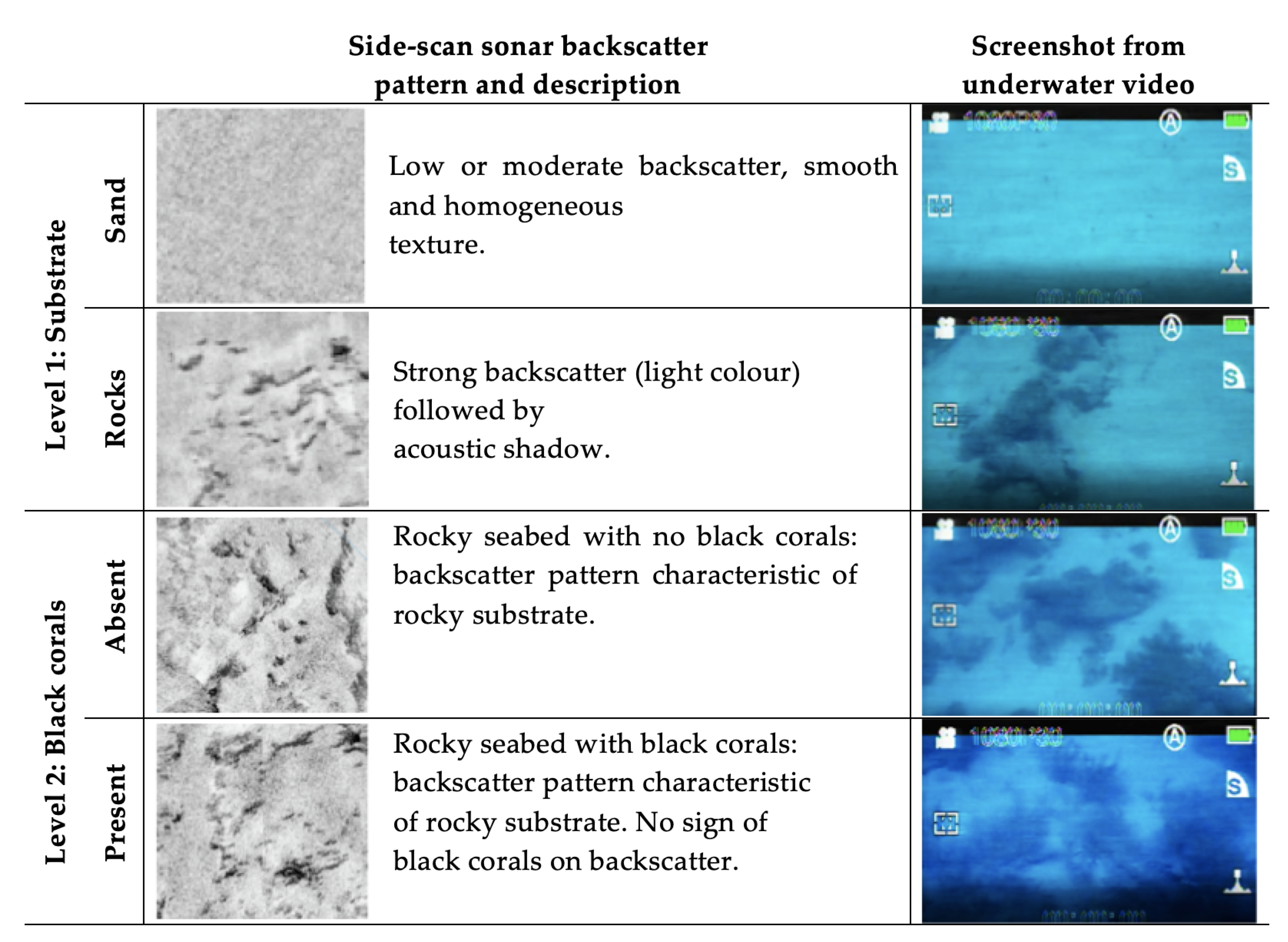 Detail Gambar Side Scan Sonar Nomer 27