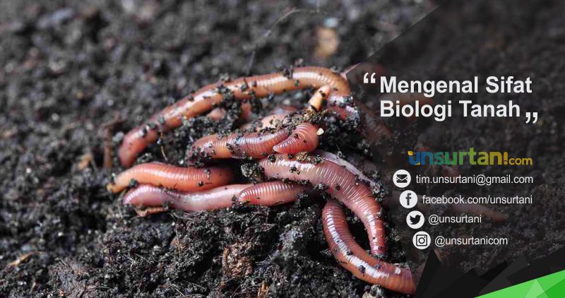 Gambar Sifat Biologi Tanah - KibrisPDR