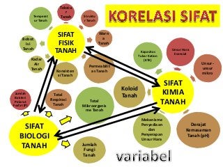 Detail Gambar Sifat Biologi Tanah Nomer 12