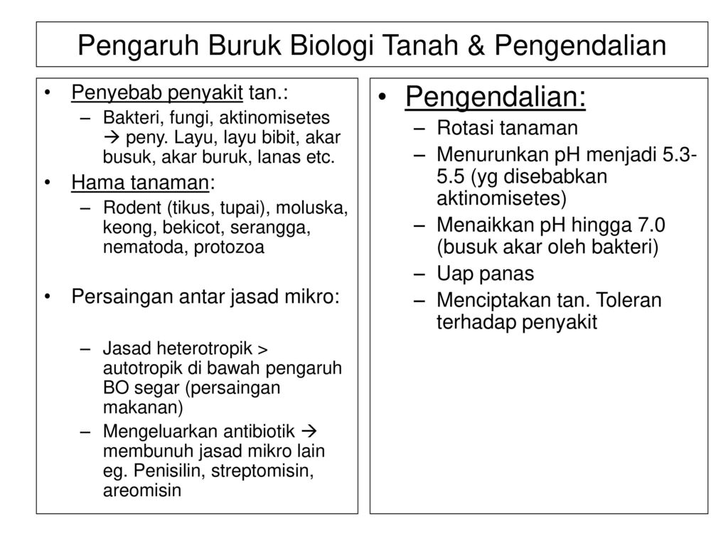 Detail Gambar Sifat Biologi Tanah Nomer 35