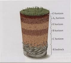 Detail Gambar Sifat Biologi Tanah Nomer 49