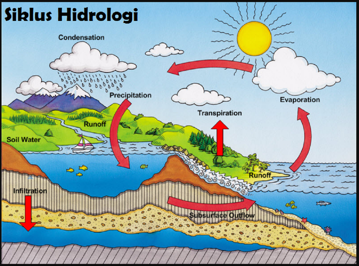 Detail Gambar Siklus Air Nomer 13