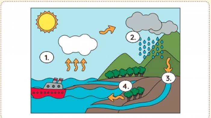 Detail Gambar Siklus Air Nomer 32