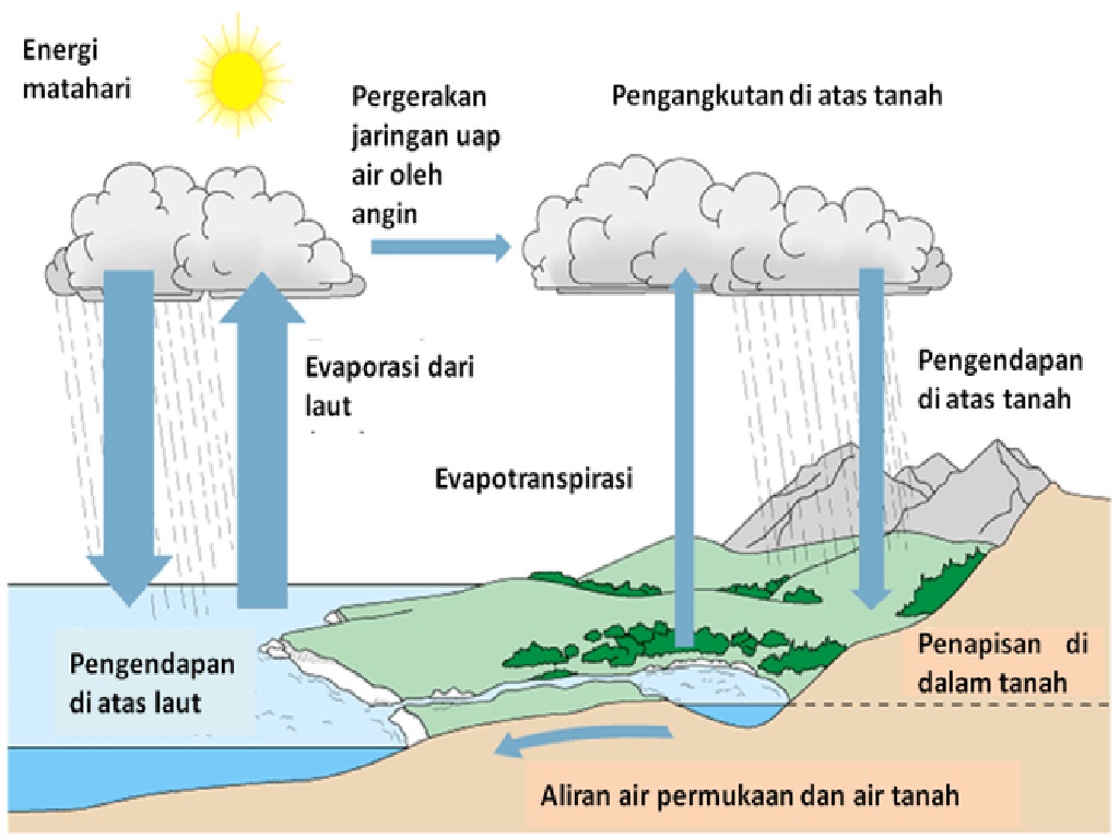 Detail Gambar Siklus Air Bagi Tanaman Nomer 17