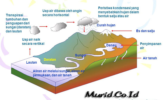 Detail Gambar Siklus Air Bagi Tanaman Nomer 41