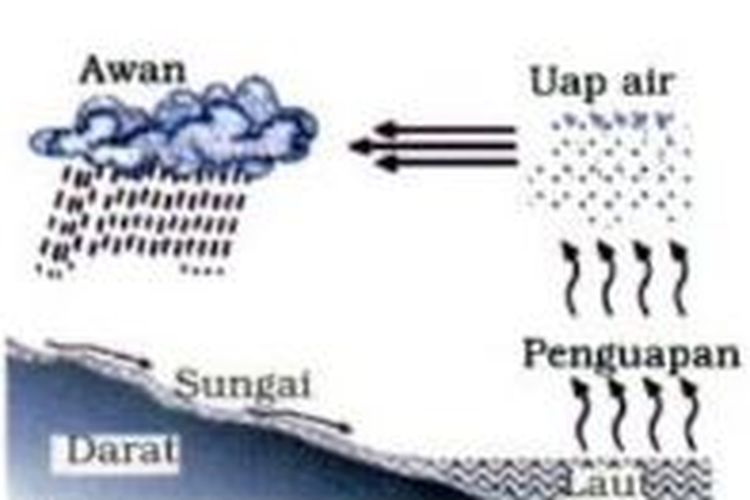 Detail Gambar Siklus Air Dan Keterangannya Nomer 40