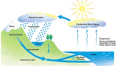 Detail Gambar Siklus Air Dan Keterangannya Nomer 54