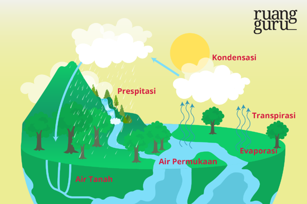 Detail Gambar Siklus Air Dan Keterangannya Nomer 55