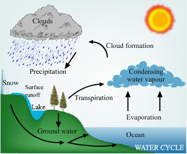 Detail Gambar Siklus Air Dan Penjelasannya Nomer 46