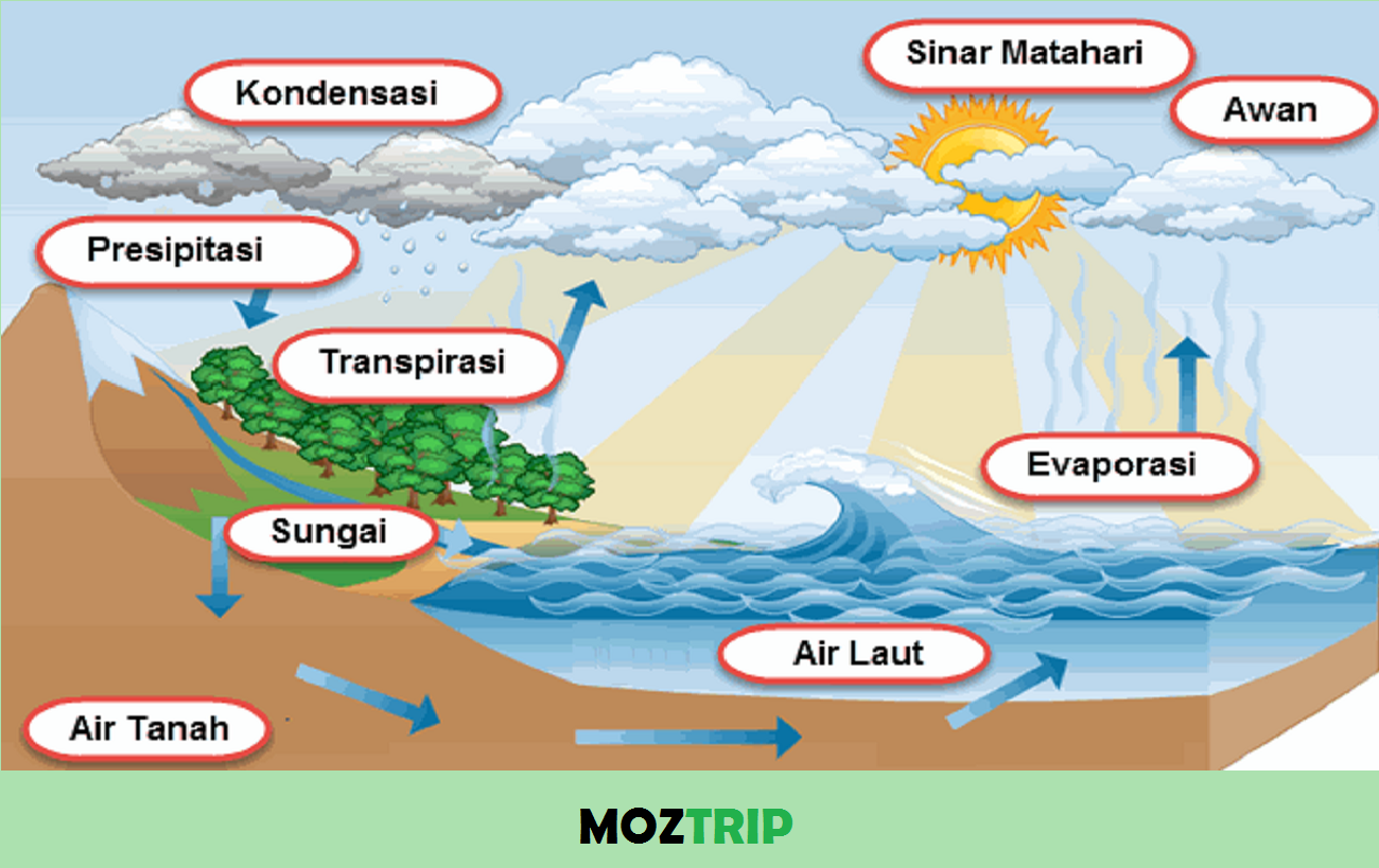 Detail Gambar Siklus Air Panjang Nomer 20