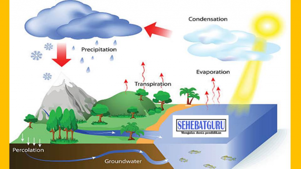 Detail Gambar Siklus Air Tanah Nomer 15