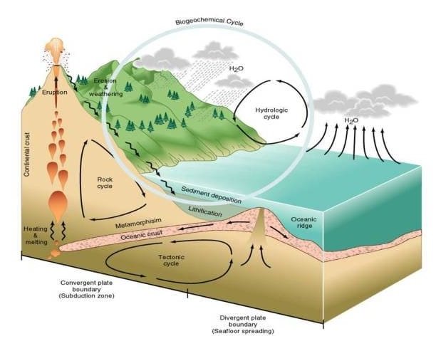 Gambar Siklus Biogeokimia - KibrisPDR