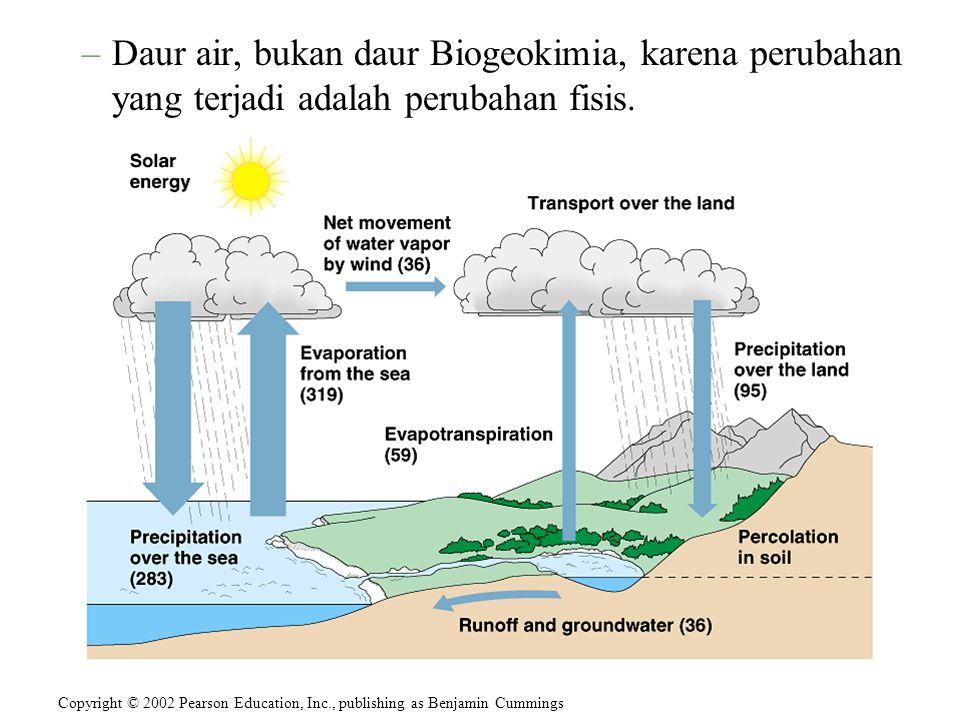 Detail Gambar Siklus Biogeokimia Nomer 28