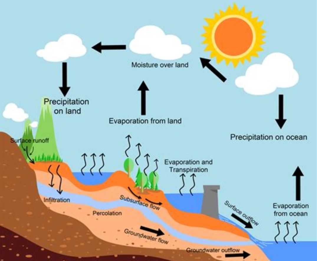 Detail Gambar Siklus Hidrologi Nomer 15