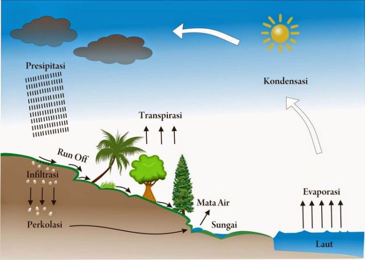 Detail Gambar Siklus Hidrologi Nomer 8