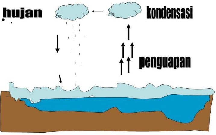 Detail Gambar Siklus Hidrologi Dan Penjelasannya Nomer 36