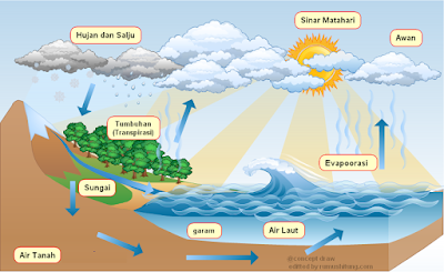Detail Gambar Siklus Hidrologi Dan Penjelasannya Nomer 8