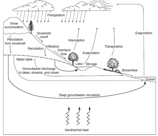 Detail Gambar Siklus Hidrologi Dan Penjelasannya Nomer 9