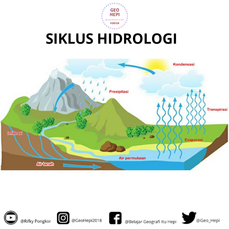 Detail Gambar Siklus Hidrologi Pendek Nomer 10