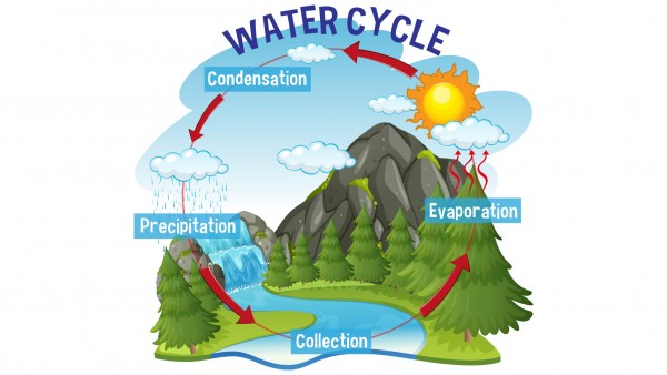 Detail Gambar Siklus Hidrologi Pendek Nomer 17