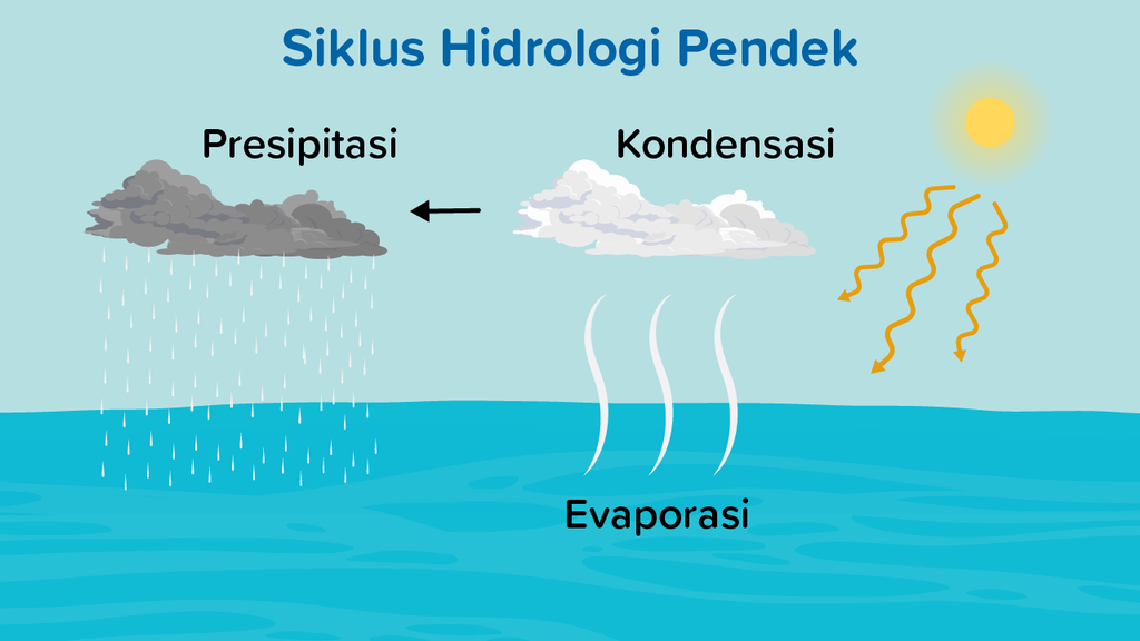 Detail Gambar Siklus Hidrologi Pendek Nomer 19