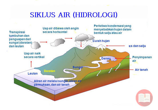 Detail Gambar Siklus Hidrologi Pendek Nomer 33