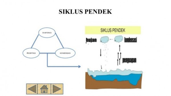 Detail Gambar Siklus Hidrologi Pendek Nomer 52