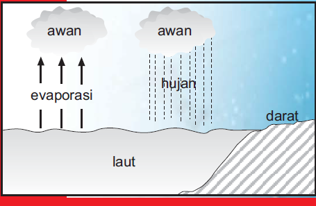 Detail Gambar Siklus Hidrologi Sedang Nomer 16