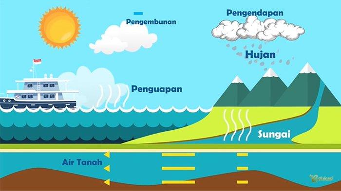 Detail Gambar Siklus Hidrologi Sedang Nomer 21