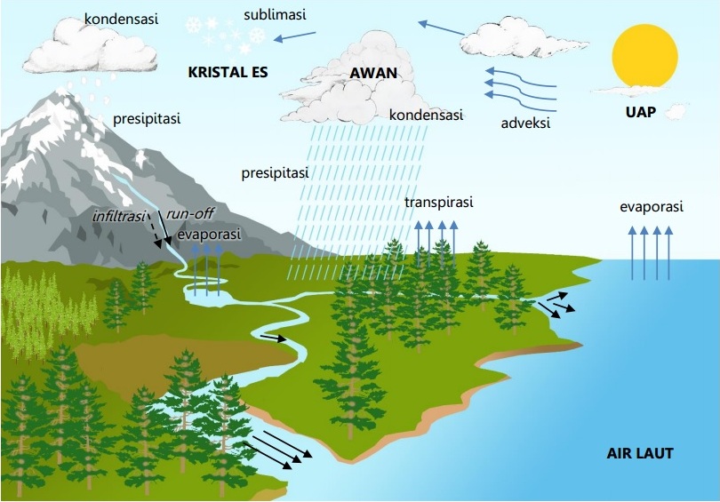 Detail Gambar Siklus Hidrologi Sedang Nomer 28