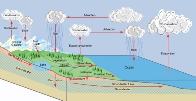 Detail Gambar Siklus Hidrologi Sedang Nomer 36