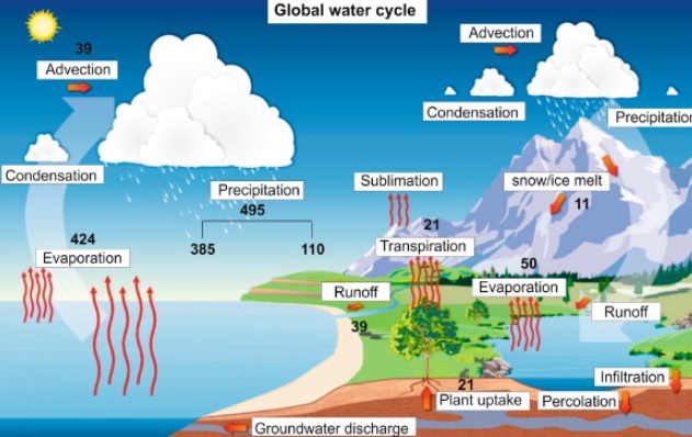 Detail Gambar Siklus Hidrologi Sedang Nomer 48