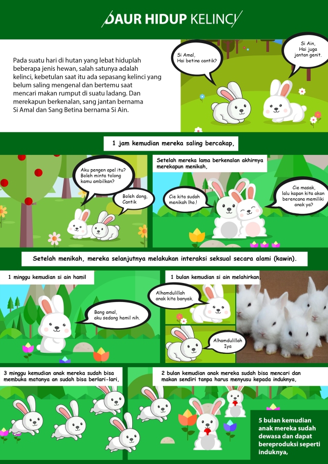 Detail Gambar Siklus Hidup Kelinci Nomer 11