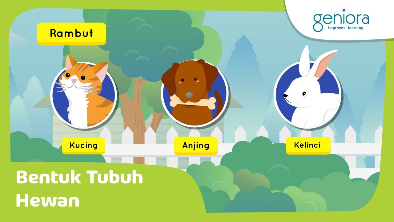 Detail Gambar Siklus Hidup Kelinci Nomer 14