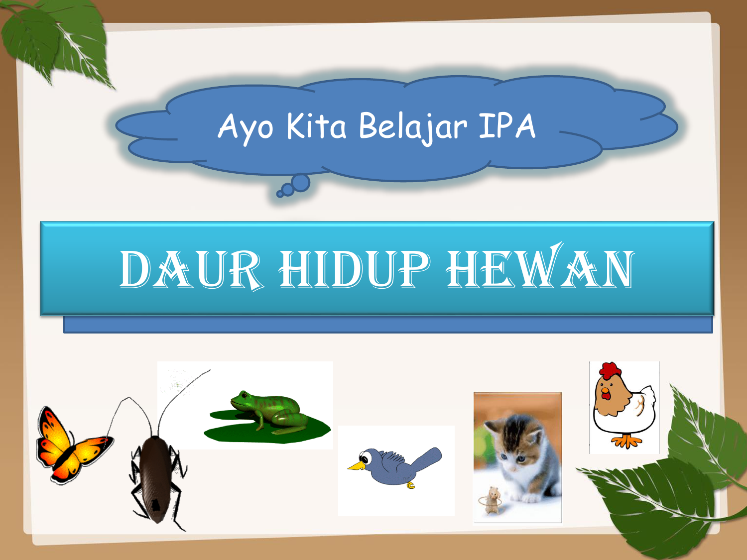 Detail Gambar Siklus Hidup Kelinci Nomer 21