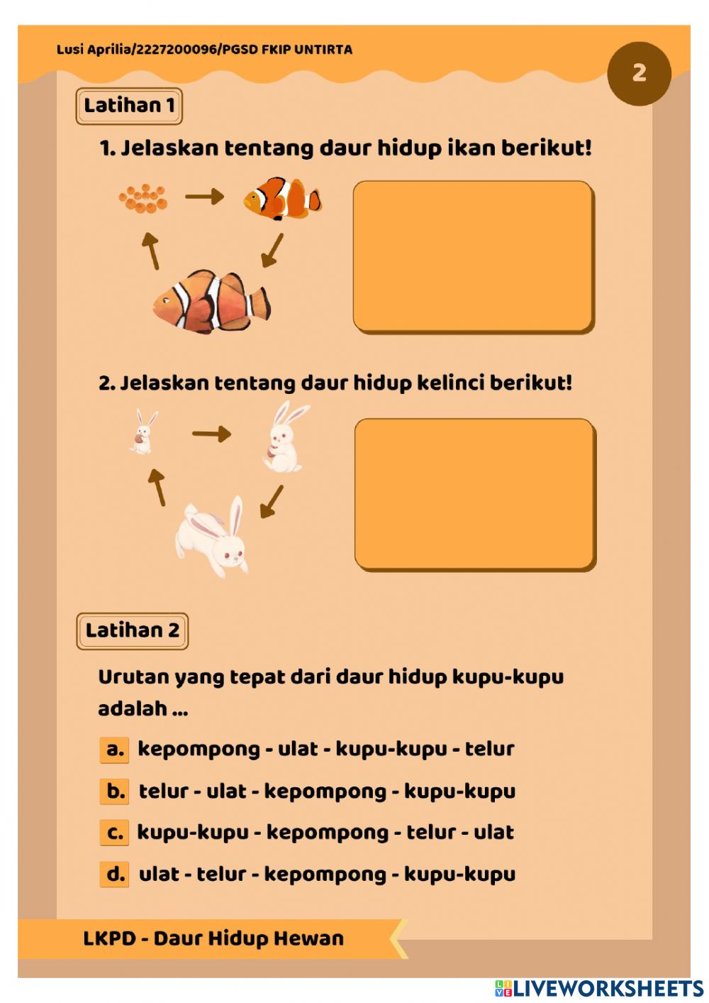Detail Gambar Siklus Hidup Kelinci Nomer 29